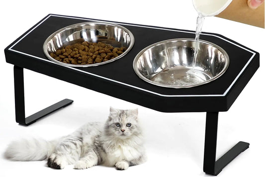 Elevated Whisker-Friendly Cat Bowls