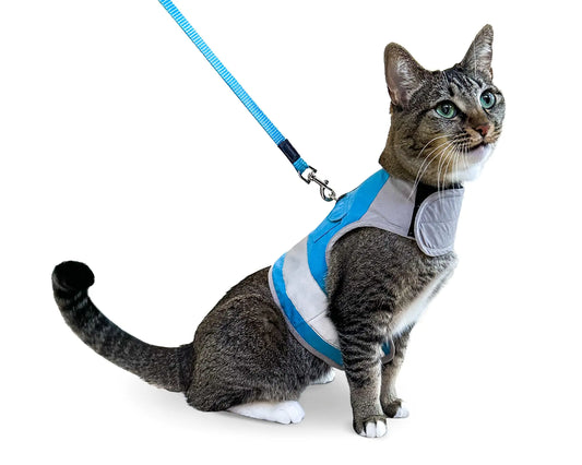 ComfyKitty Easy-Wear Harness Set