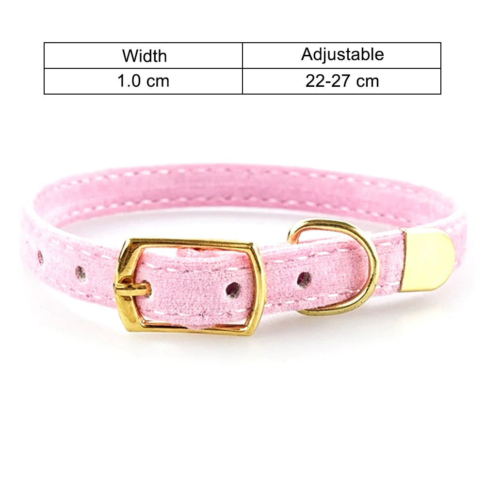 Purrsonality Cat Collars: Safe & Stylish