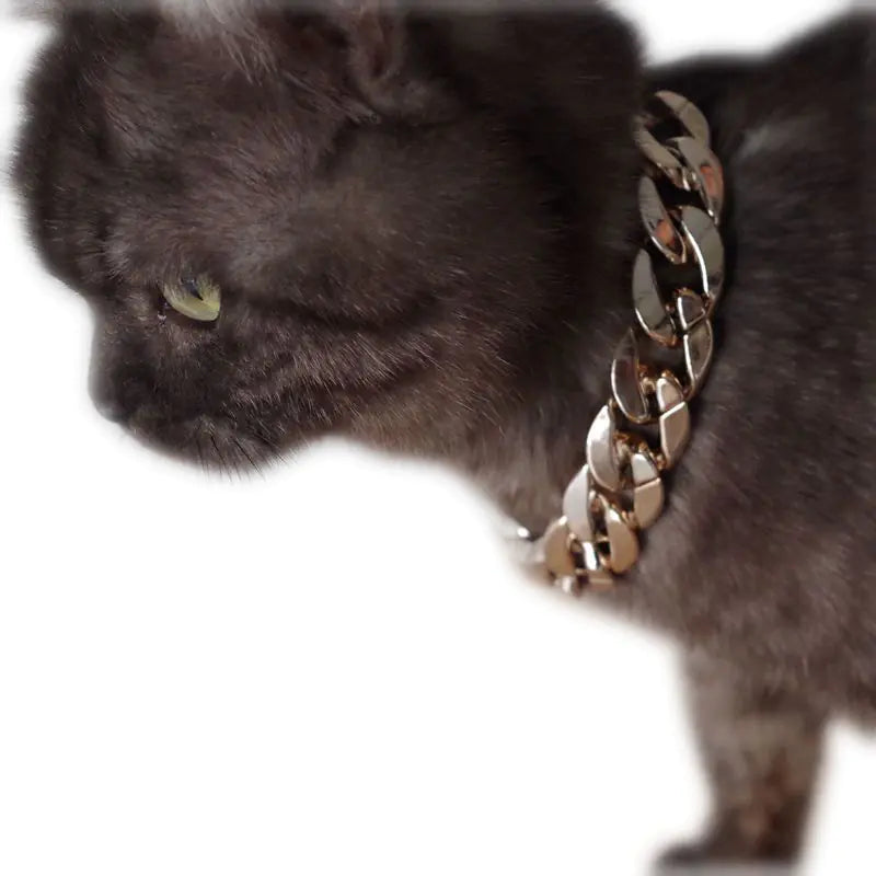 Golden Glam Pet Necklace