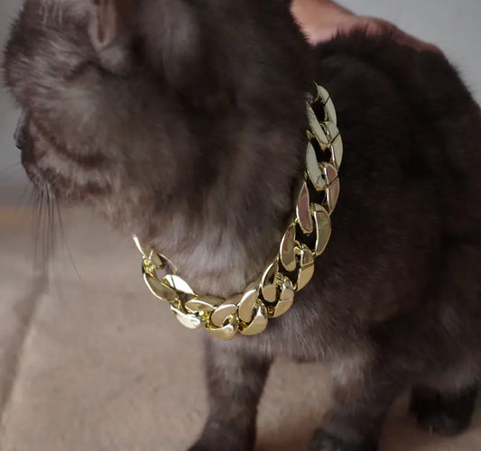 Golden Glam Pet Necklace