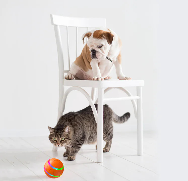FunSphere Deluxe Cat Toy: Intelligent USB-Powered Play Ball