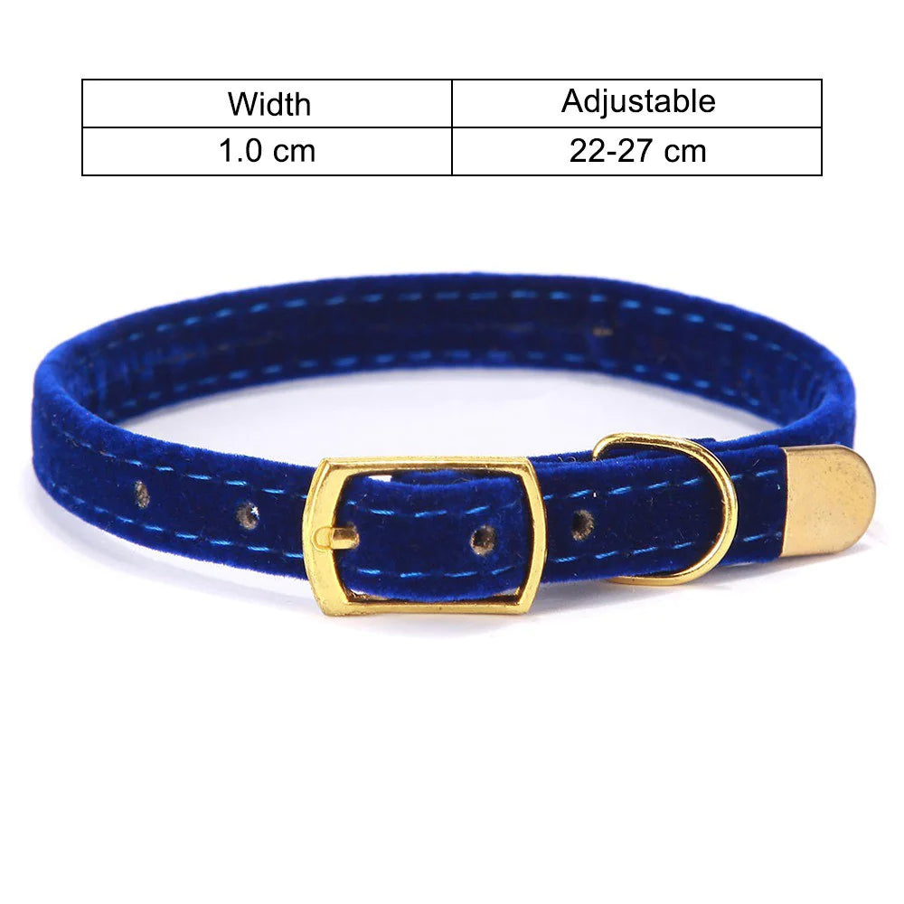 Purrsonality Cat Collars: Safe & Stylish