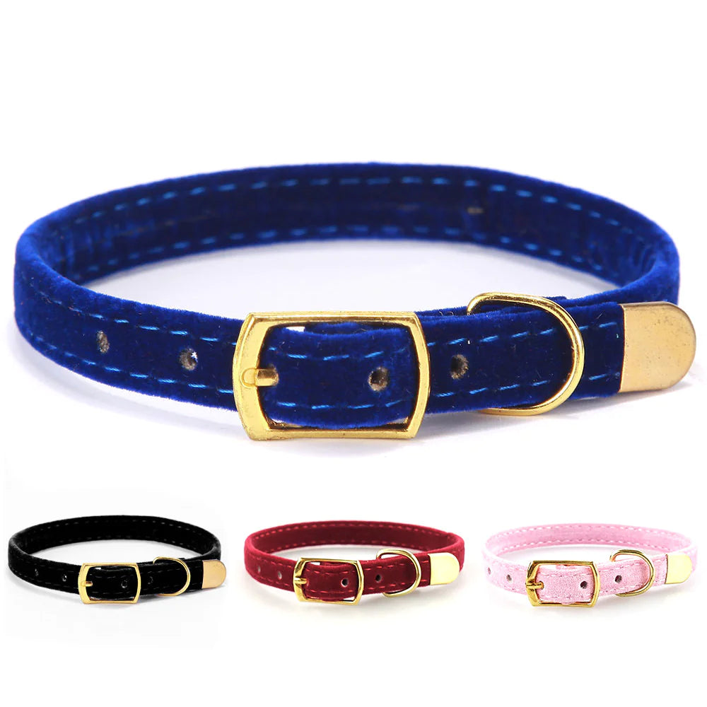 Purrsonality Cat Collars: Safe & Stylish