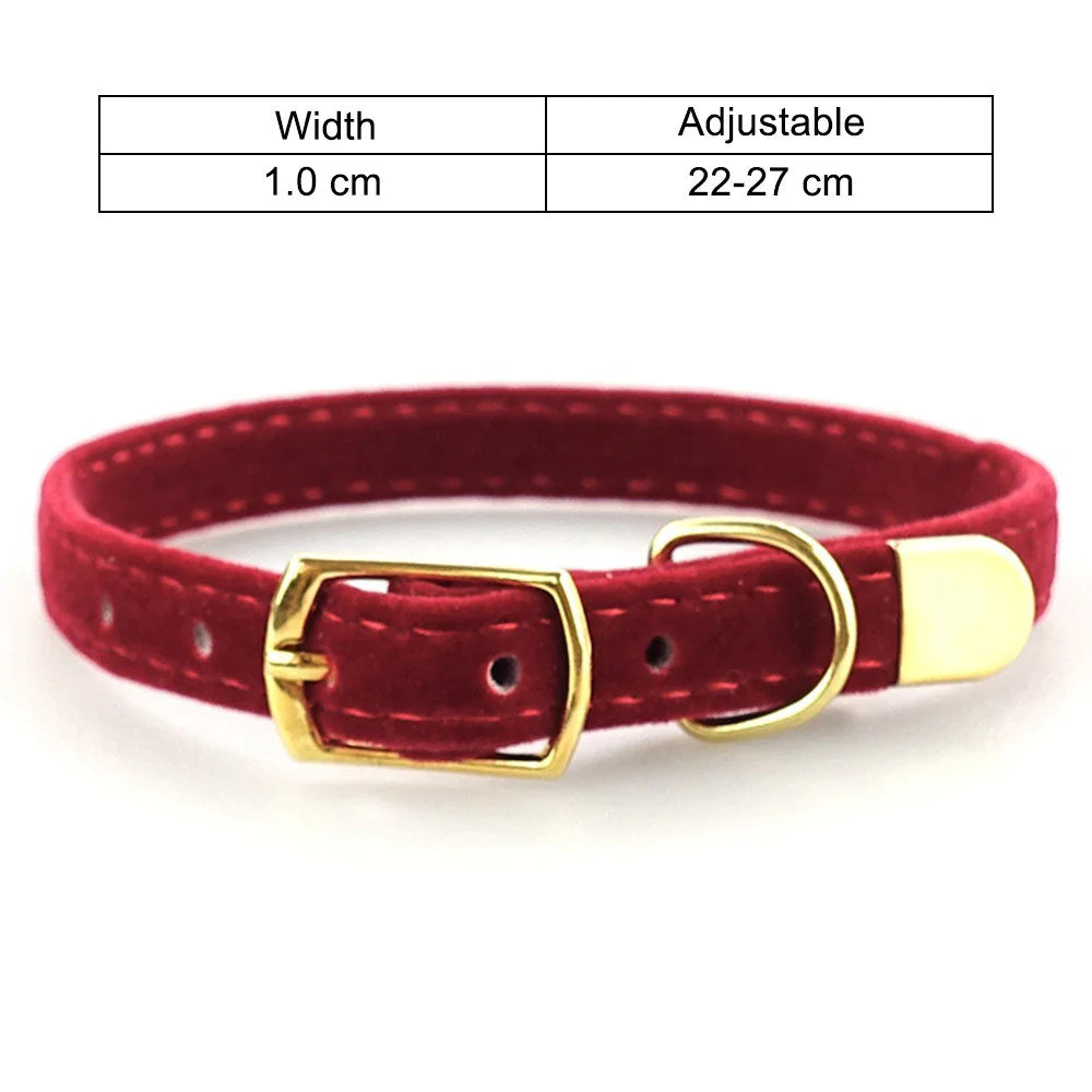 Purrsonality Cat Collars: Safe & Stylish