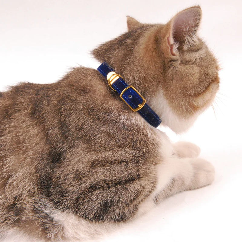 Purrsonality Cat Collars: Safe & Stylish